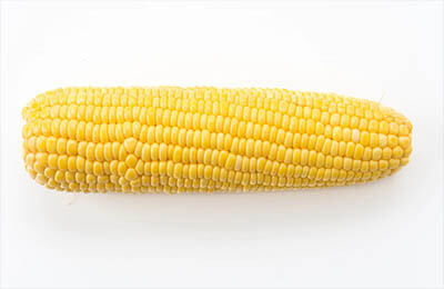 玉米粗缩病的有效防治方法