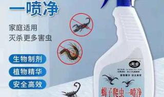用什么药能消灭千足虫 家里有小虫子怎么消除千足虫 怎么去除千